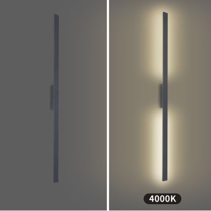 Brilagi - LUNA LED-ulkovalaisin seinälle LED/30W/230V 4000K IP65 150 cm antrasiitti CRI 90