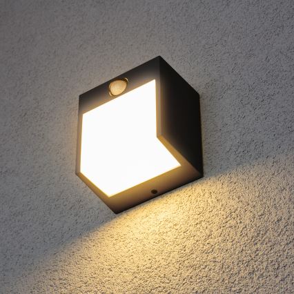 Brilagi - LED-ulkovaloseinävalaisin liiketunnistimella TERNI LED/12W/230V musta IP44