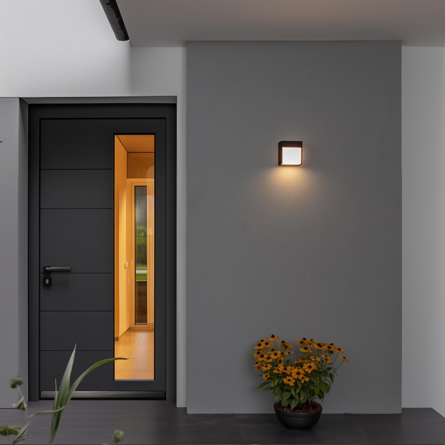 Brilagi - LED-ulkoseinävalaisin TERNI LED/12W/230V musta IP44