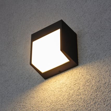 Brilagi - LED-ulkoseinävalaisin TERNI LED/12W/230V musta IP44