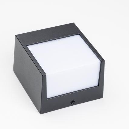 Brilagi - LED-ulkoseinävalaisin TERNI LED/12W/230V musta IP44