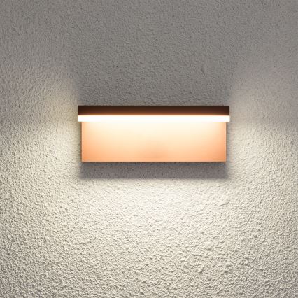 Brilagi - LED ulkoseinävalaisin TESSI LED/10W/230V ruskea IP54