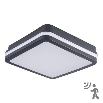 Brilagi - LED-ulkovalaisin liiketunnistimella BENE LED/18W/230V 22x22 cm antrasiitti IP54
