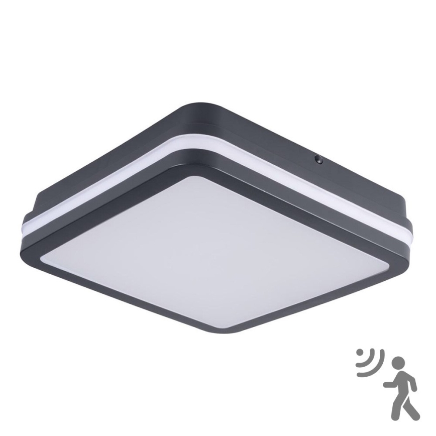 Brilagi - LED-ulkovalaisin liiketunnistimella BENE LED/18W/230V 22x22 cm antrasiitti IP54