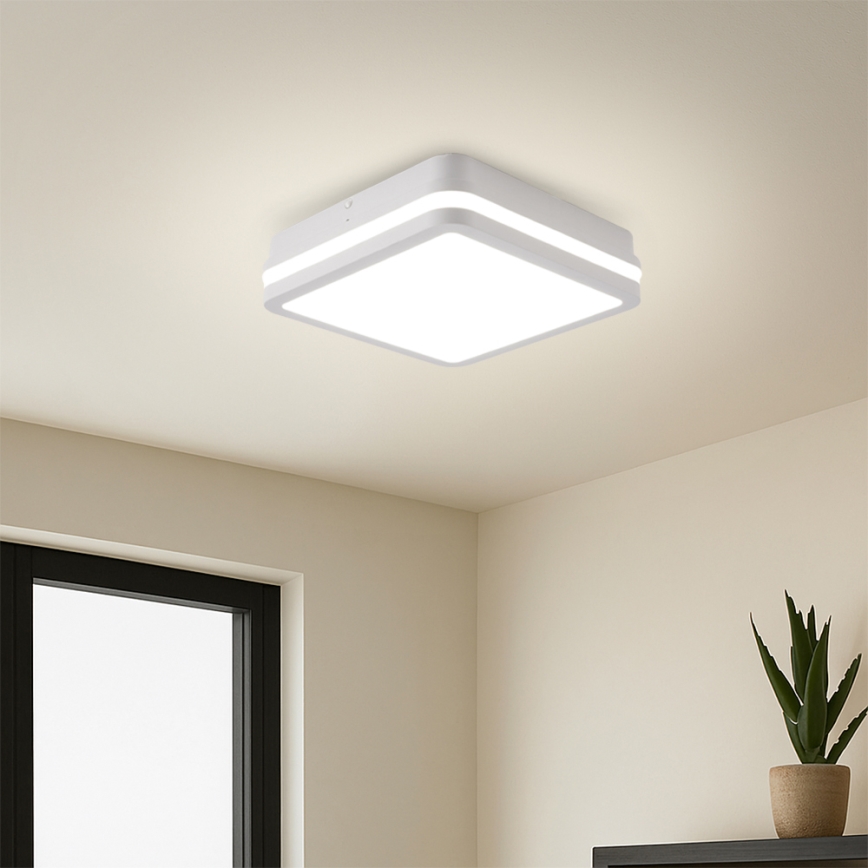 Brilagi - LED-ulkovalaisin BENE LED/24W/230V 26x26 cm valkoinen IP54