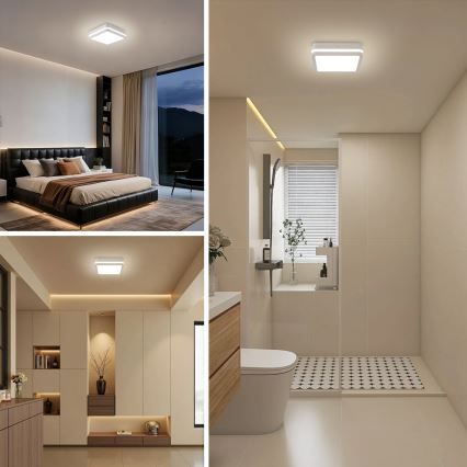 Brilagi - LED-ulkovalaisin BENE LED/24W/230V 26x26 cm valkoinen IP54