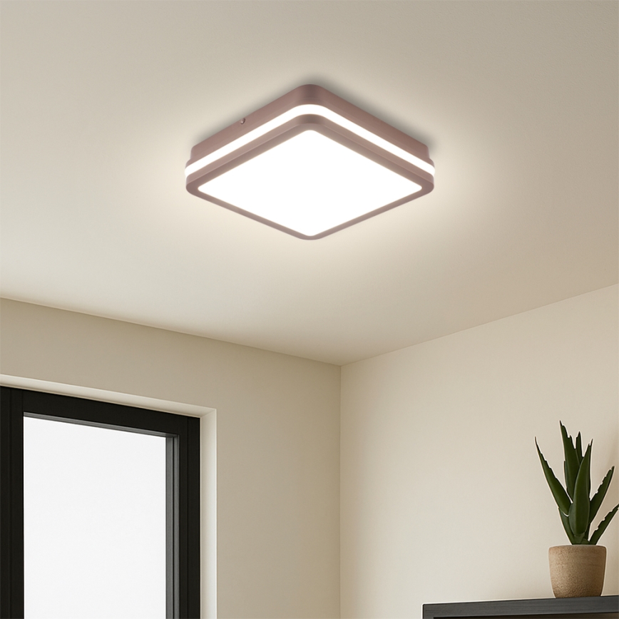 Brilagi - LED-ulkokattovalaisin tunnistimella BENE LED/18W/230V 21,5x21,5 cm ruskea IP54