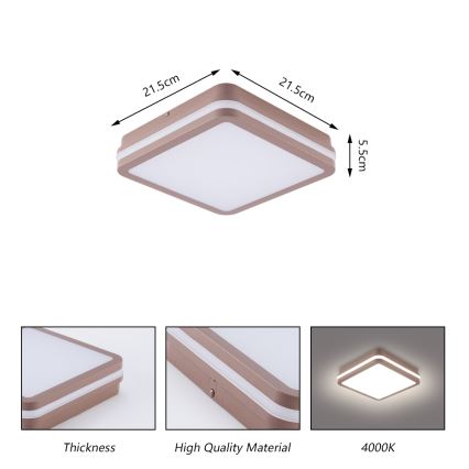 Brilagi - LED-ulkokattovalaisin tunnistimella BENE LED/18W/230V 21,5x21,5 cm ruskea IP54