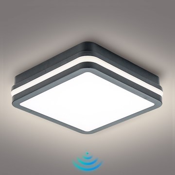 Brilagi - LED-ulkovalaisin liiketunnistimella BENE LED/18W/230V 22x22 cm antrasiitti IP54