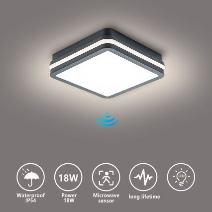 Brilagi - LED-ulkovalaisin liiketunnistimella BENE LED/18W/230V 22x22 cm antrasiitti IP54