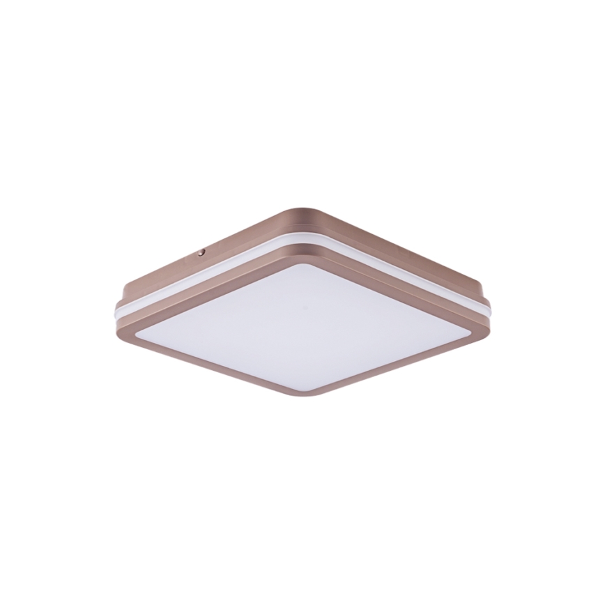 Brilagi - LED-ulkokattovalaisin liiketunnistimella BENE LED/24W/230V 26x26 cm ruskea IP54
