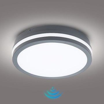 Brilagi - LED-ulkovalaisin liiketunnistimella BENE LED/24W/230V ø 26 cm antrasiitti IP54