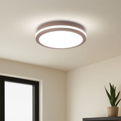 Brilagi - LED-ulkovalaisin liiketunnistimella BENE LED/24W/230V halkaisija 26 cm ruskea IP54