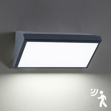Brilagi - LED-ulkovalaisin liiketunnistimella TRIANGLE LED/20W/230V antrasiitti IP65