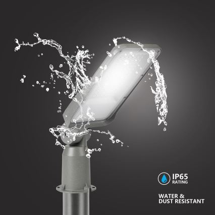 Brilagi - URBANLIGHT LED-katuvalaisin 3 m pylväällä ja nivelellä, LED 50W 230V, harmaa, IP65