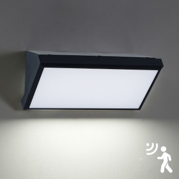 Brilagi - LED-ulkovalaisin seinälle liiketunnistimella TRIANGLE LED/20W/230V musta IP65