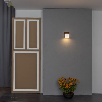 BRILAGI - LED-ulkovalaisin TERNI LED/12W/230V ruskea IP44