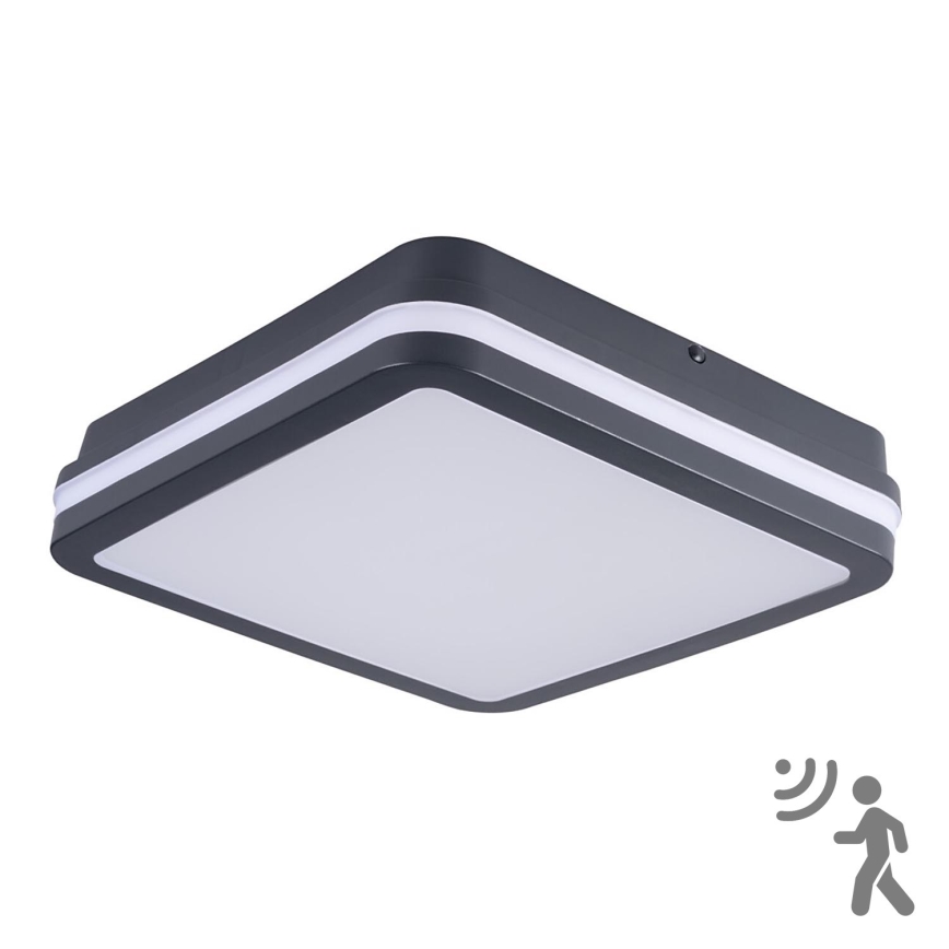 Brilagi - LED-ulkovalaisin liiketunnistimella BENE LED/24W/230V 26x26 cm antrasiitti IP54