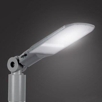 Brilagi - LED-ulkovalaisin URBANLIGHT LED/100W/230V harmaa IP65