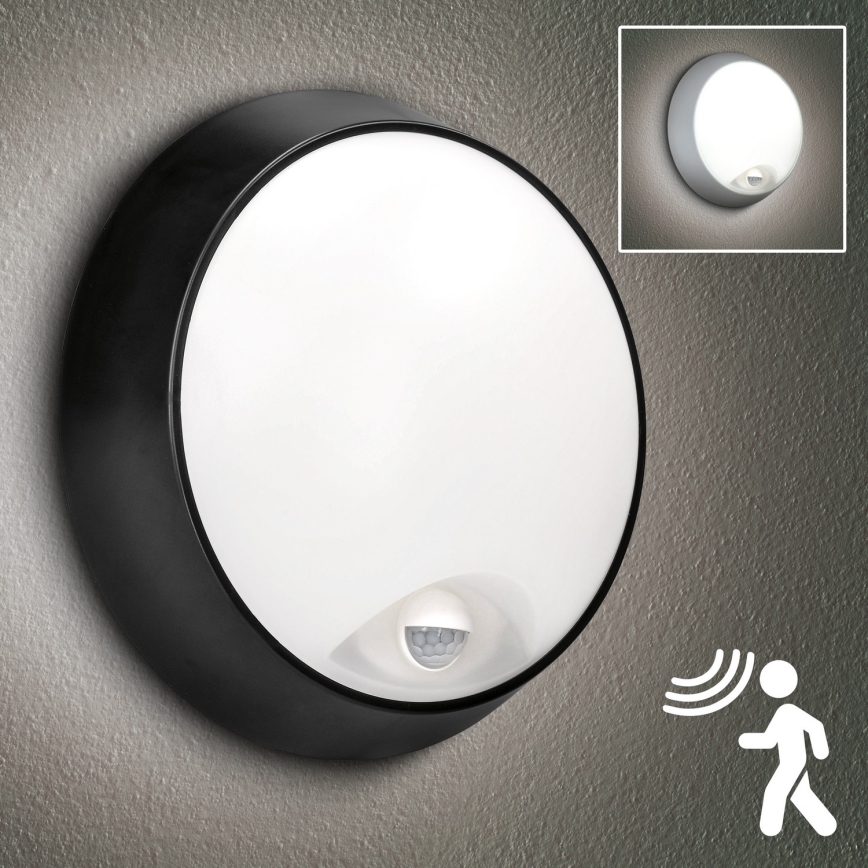 Brilagi - LED Ulkovalo anturilla 2in1 BULKHEAD LED/20W/230V IP65