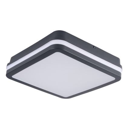 Brilagi - LED-ulkovalo BENE LED/18W/230V 22x22 cm antrasiitti IP54