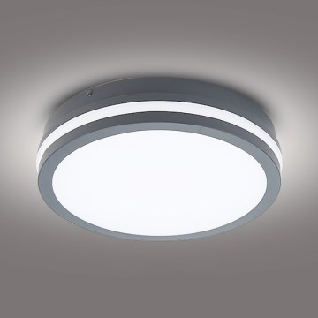 Brilagi - LED-ulkovalo BENE LED/24W/230V halkaisija 26 cm antrasiitti IP54