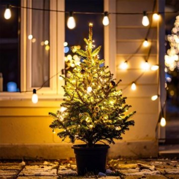 Brilagi - LED-ulkovaloköynnös 10×LED/3×AA 3,2 m IP44 lämmin valkoinen