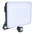 BRILAGI - LED-valaisin anturilla ELARA PRO LED/100W/230V IP65