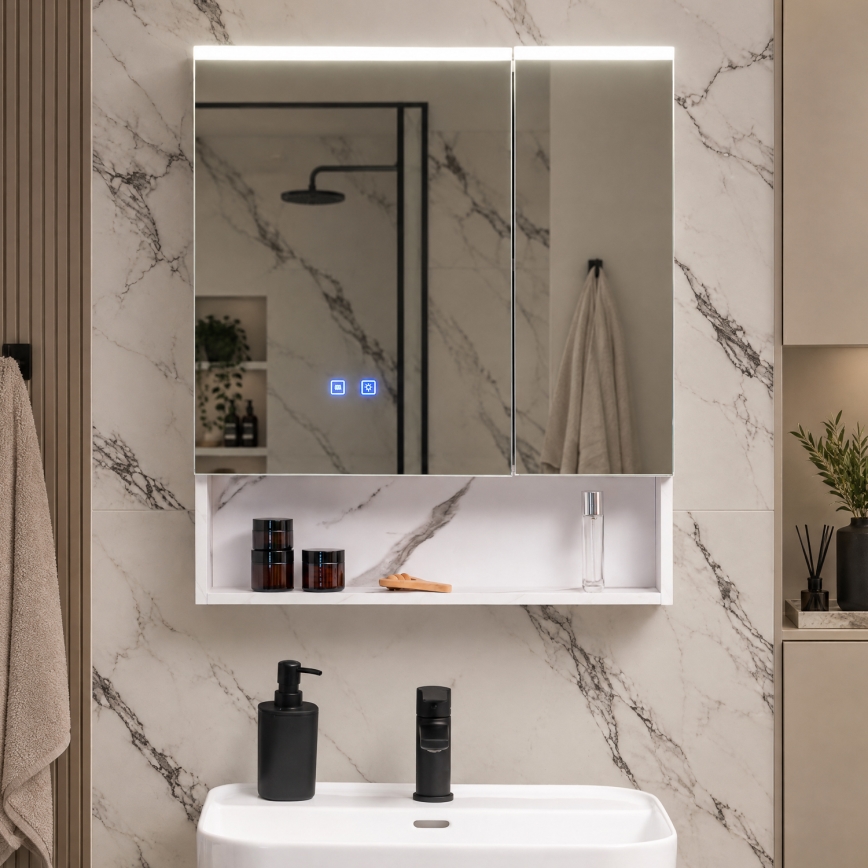 BRILAGI - LED-valaistu kylpyhuoneen peilikaappi TRABIA DOUBLE 60x70 cm