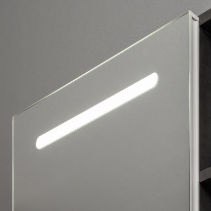 BRILAGI - LED-valaistu kylpyhuoneen peilikaappi TRABIA SINGLE 60x70 cm