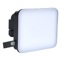 BRILAGI - LED-valonheitin ELARA PRO LED/30W/230V IP65