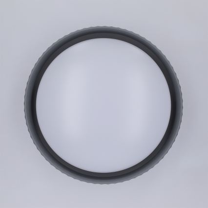 Brilagi - LUCIA LED - kattovalaisin LED/24W/230V, Ø 31 cm, harmaa