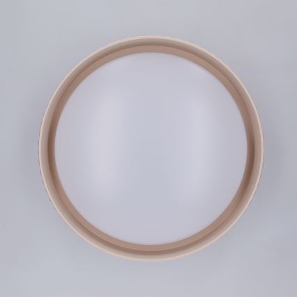 Brilagi - LUCIA LED - LED-kattovalaisin LED/24W/230V, halkaisija 31 cm, beige