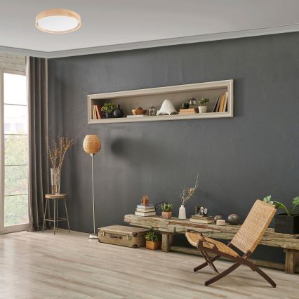 Brilagi - LED himmennettävä kattovalaisin MANAROLA SMART LED/24W/230V 2700-6500K halkaisija 41 cm Wi-Fi + Tuya kaukosäädin