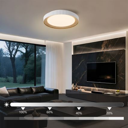 Brilagi - LED-himmennettävä kattovalaisin NEXO, 48 W, 230 V, 3000–6000 K, valkoinen, halkaisija 43 cm + kaukosäädin
