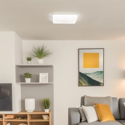 Brilagi - LED Himennettävä kattovalaisin OPAL LED/24W/230V 37,5x37,5 cm 3000/4000/6500K + kaukosäädin