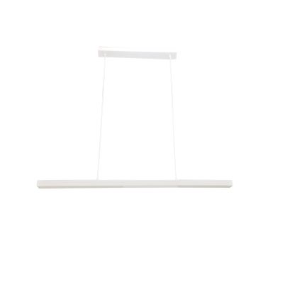 Brilagi - PAXIS LED-riippuvalaisin vaijerilla LED/30W/230V 120 cm valkoinen