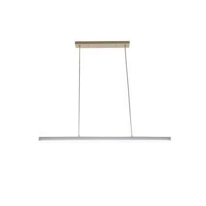 Brilagi - PAXIS LED-riippuvalaisin vaijerilla LED/30W/230V 120 cm valkoinen