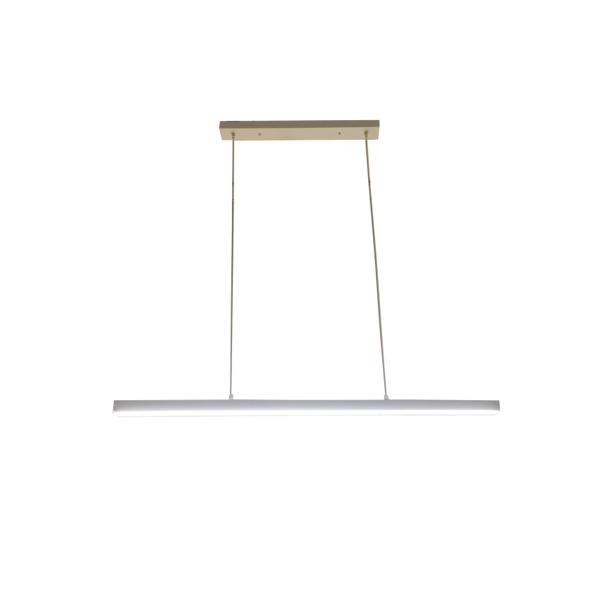 Brilagi - PAXIS LED-riippuvalaisin vaijerilla LED/30W/230V 120 cm valkoinen