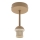 Brilagi - Pinnalle asennettava kattovalaisin PARTY 1xE27/60W/230V halkaisija 10 cm beige