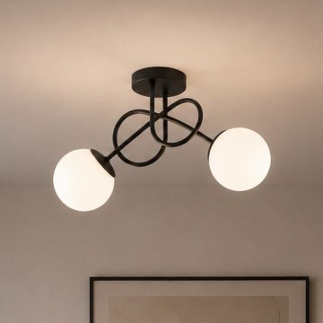 Brilagi - Pinta-asennettava kattovalaisin MILO 2xE27/60W/230V musta