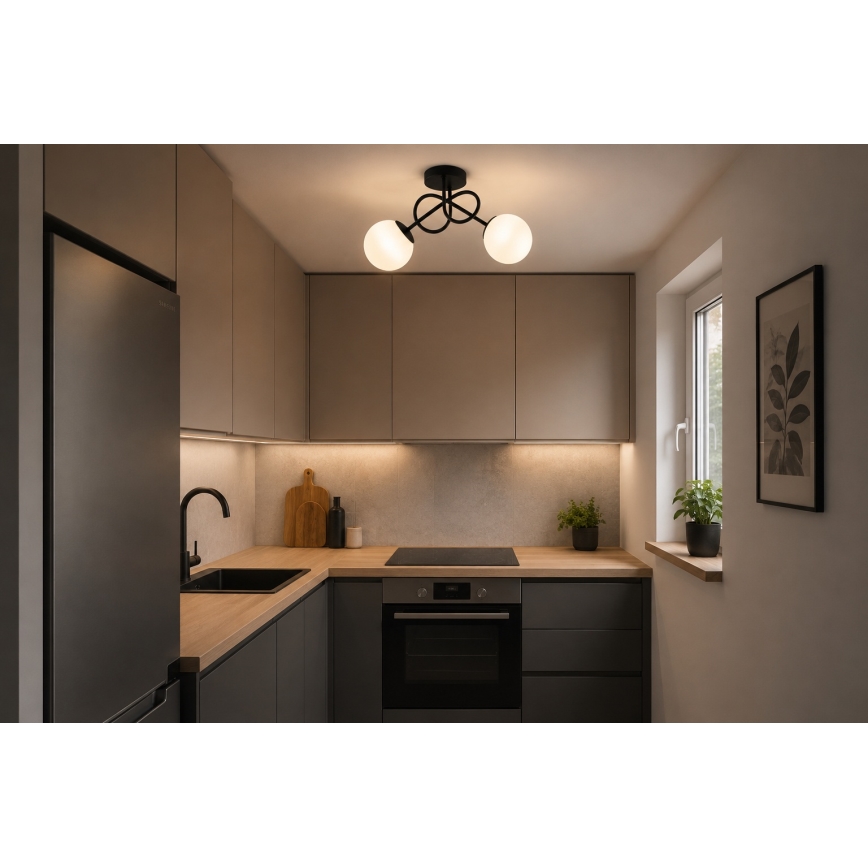 Brilagi - Pinta-asennettava kattovalaisin MILO 2xE27/60W/230V musta