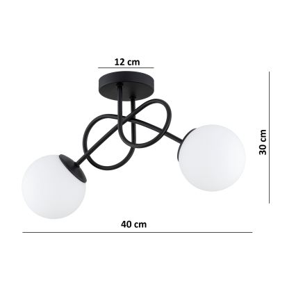 Brilagi - Pinta-asennettava kattovalaisin MILO 2xE27/60W/230V musta