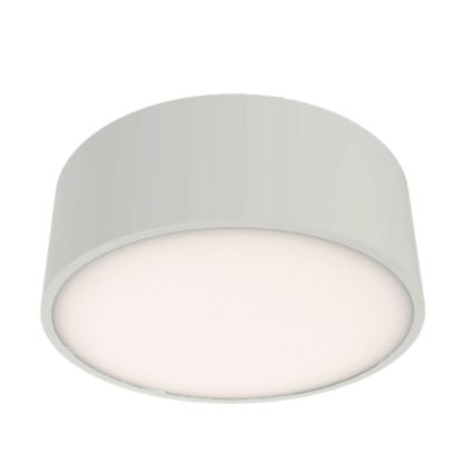 Brilagi - POOL-kylpyhuoneen kattovalaisin 2xE27/15W/230V, halkaisija 30 cm, IP54, valkoinen
