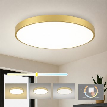 Brilagi - POOL LED-kattovalaisin, 100 W, 230 V, 3000/4000/6000 K, halkaisija 80 cm, kultainen