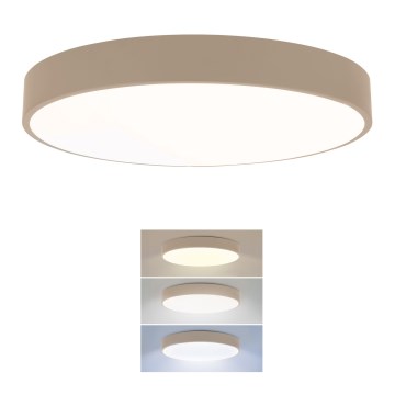 Brilagi - POOL LED - kattovalaisin, 36 W, 230 V, 3000/4000/6000 K, halkaisija 30 cm, beige