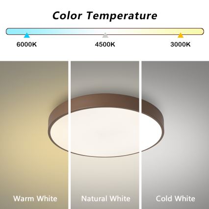 Brilagi - LED-kattovalaisin POOL LED/36W/230V 3000/4000/6000K halkaisija 30 cm ruskea