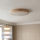 Brilagi - POOL LED -kattovalaisin 48W/230V 3000/4000/6000K halkaisija 40 cm puukuosi