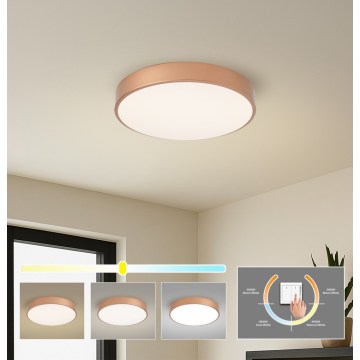 BRILAGI - POOL LED kattovalaisin LED/48W/230V 3000/4000/6000K halkaisija 40 cm pronssinvärinen
