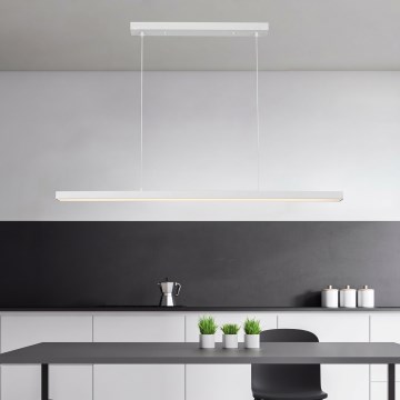 Brilagi - PPAXIS LED-riippuvalaisin vaijerilla LED/30W/230V 120 cm valkoinen